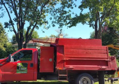 Nos réalisations d'abattage d'arbres en Montérégie