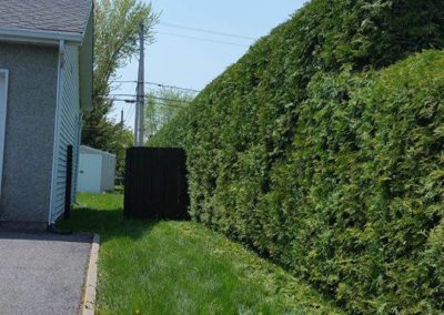 Nos réalisations d'arbres en Montérégie