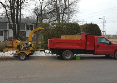 Nos réalisations d'arbres en Montérégie