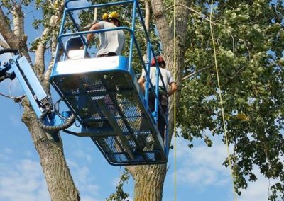 Nos réalisations d'arbres en Montérégie