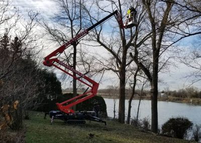 Nos réalisations d'élagage en Montérégie