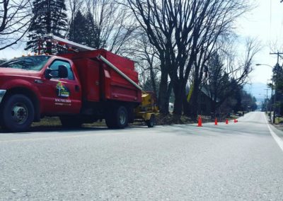 Nos réalisations d'essouchage en Montérégie